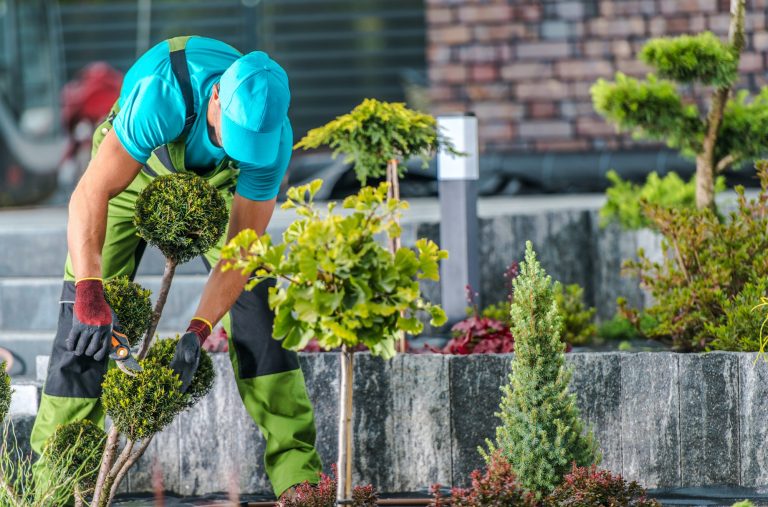 Pourquoi confier l'entretien de votre jardin à des professionnels qualifiés ?